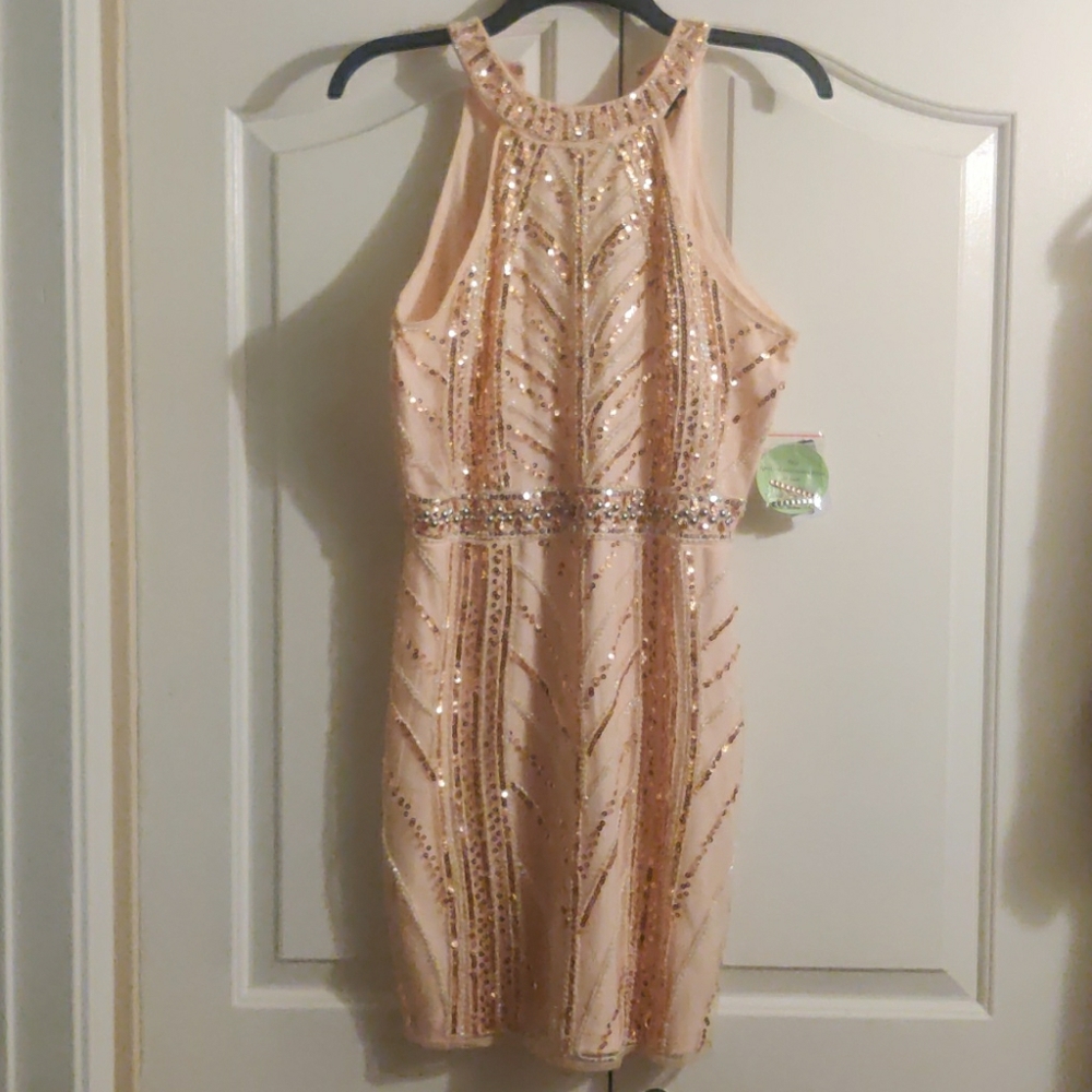 Windsor Nude Mini Dress w/ Silver and Gold Details